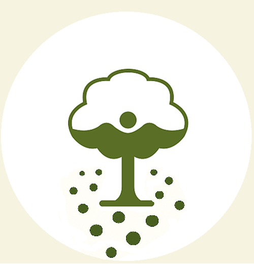 Szórásos elhelyezés az Emlékerdőben